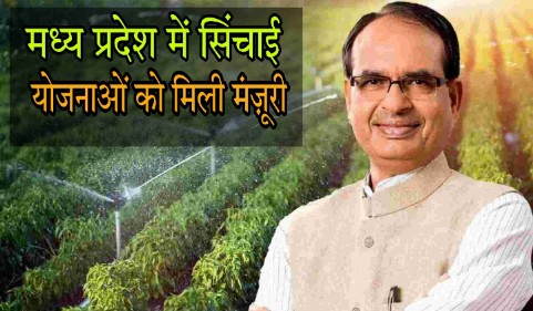 MP Irrigation Scheme : मध्य प्रदेश में सिंचाई योजनाओं को मंज़ूरी , जल संसाधन मंत्री श्री तुलसीराम सिलावट ने मुख्यमंत्री श्री चौहान का आभार जताया